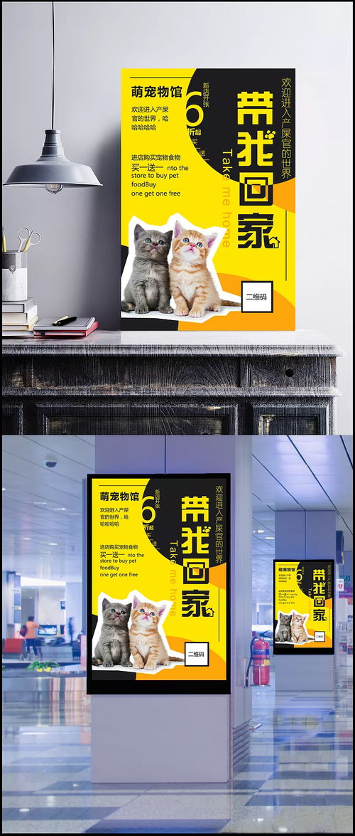 温暖新家，宠爱有加——宠物之家新店开业盛典